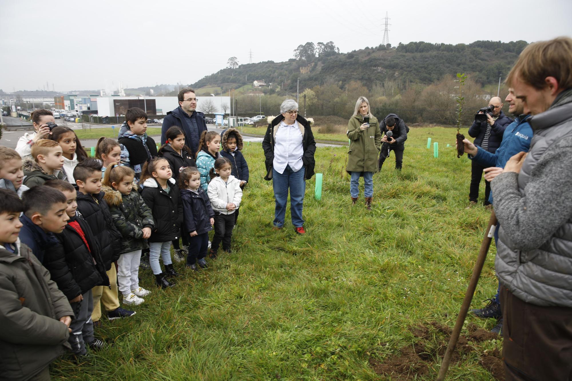 En imágenes: La alcaldesa de Gijón, en la plantación de árboles autóctonos en Somonte