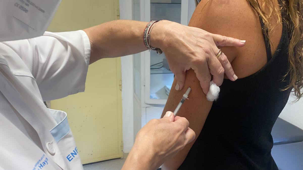 La unidad de Alergia a veneno de avispas y abejas del Hospital Regional de Málaga vacuna a 40 pacientes nuevos cada año