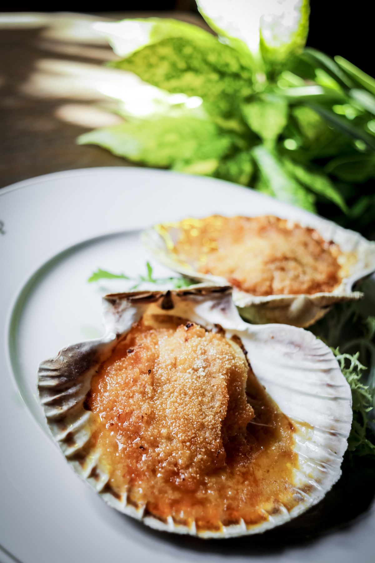 Vieiras a la gallega en el Parador de Cambados.