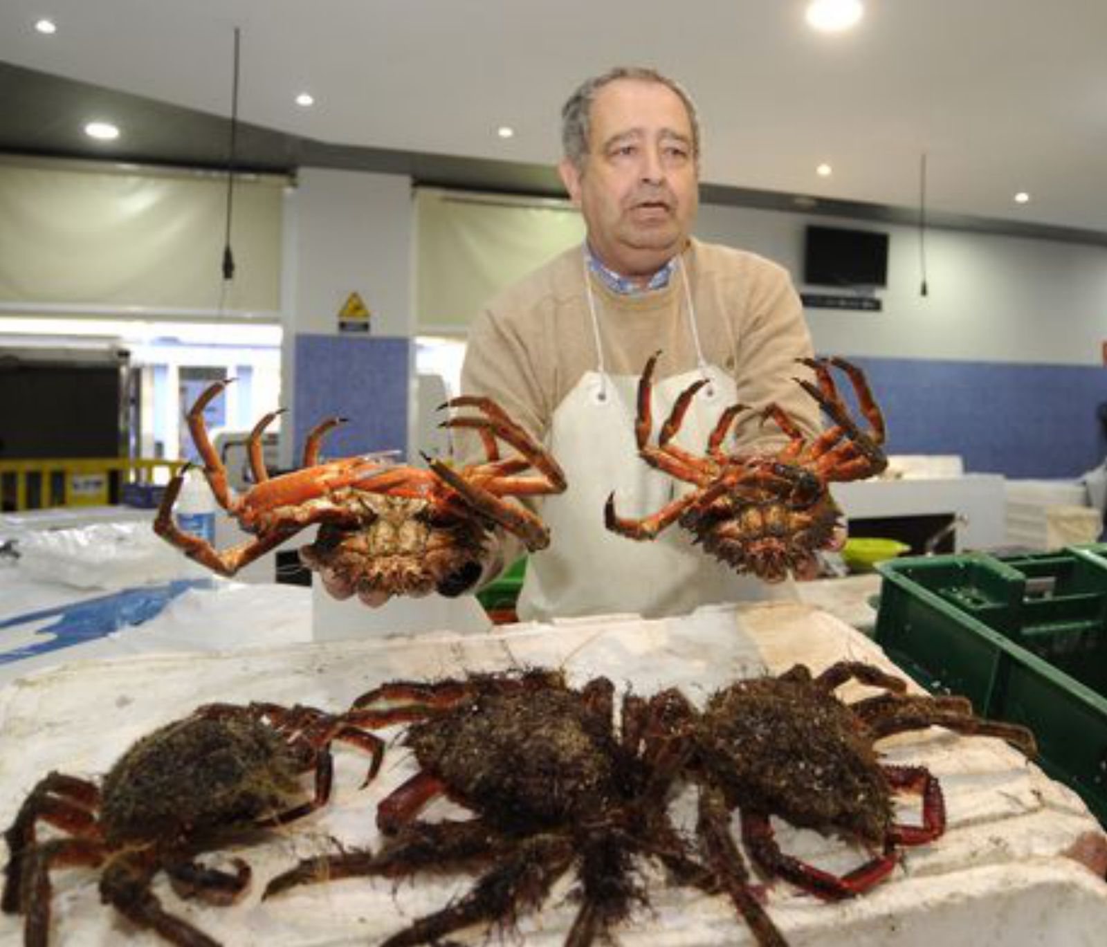 José Manuel Rey Tato, de Pescados Tato.