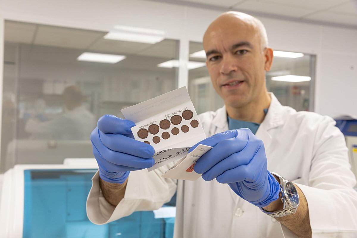 El doctor Gabriel Reina sujeta una tarjeta con una muestra de sangre seca.