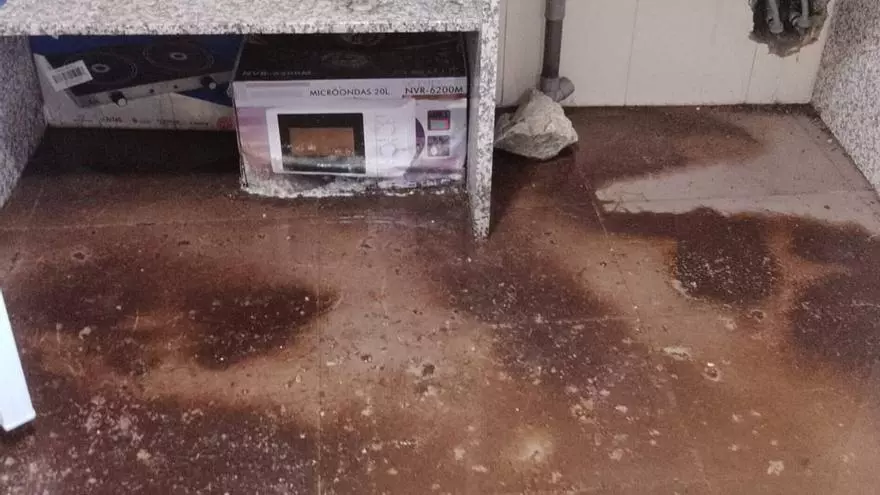 Un estudio para Luisa y una limpieza para la Casa dos Pobres