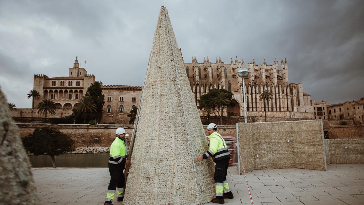 Cort empieza el montaje del árbol iluminado en el Parc de la Mar