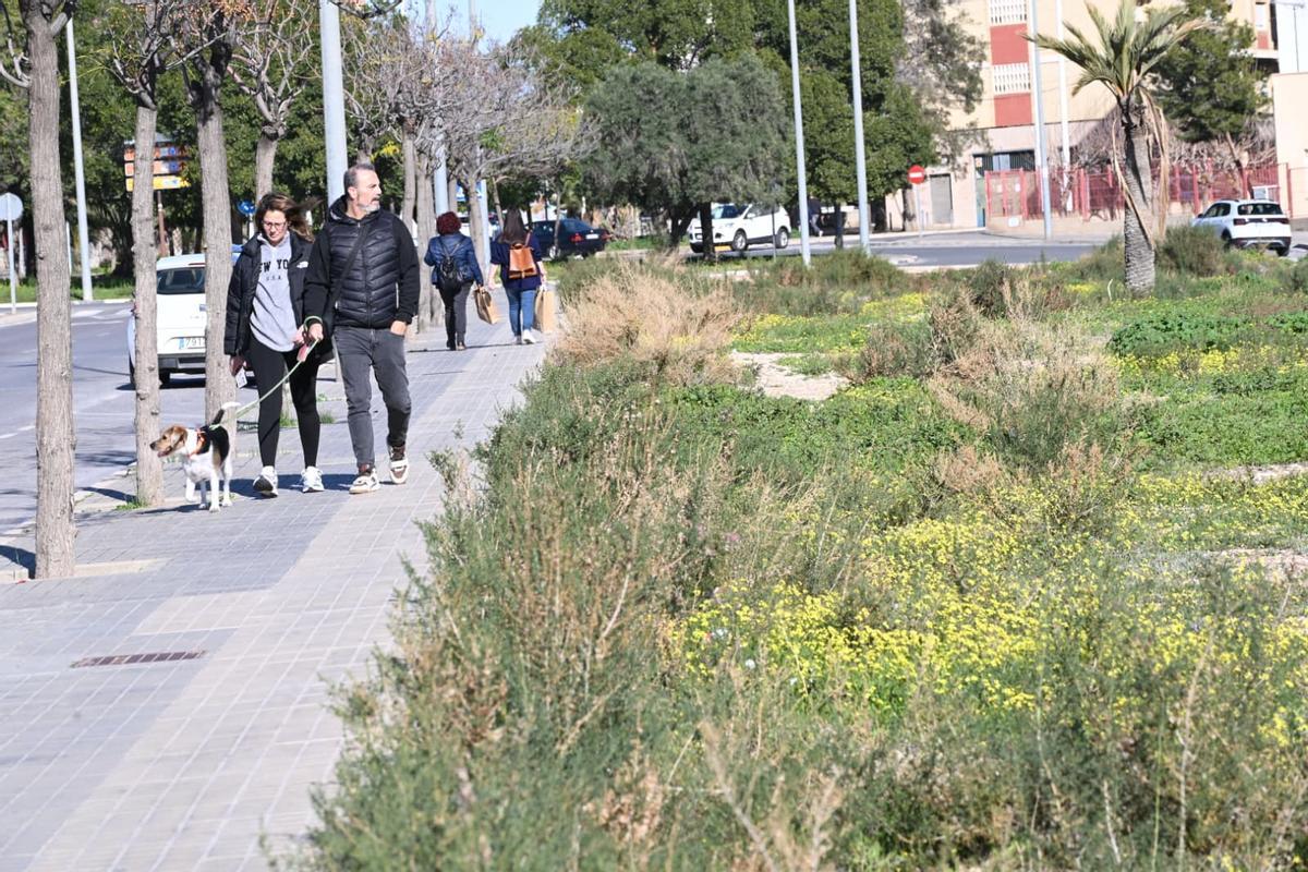 La zona es muy utilizada por ciudadanos para pasear con sus mascotas pero acumula grandes matorrales