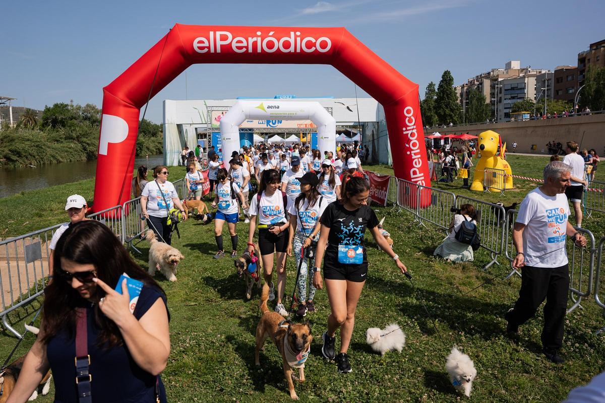 Carrera Can We Run 2025