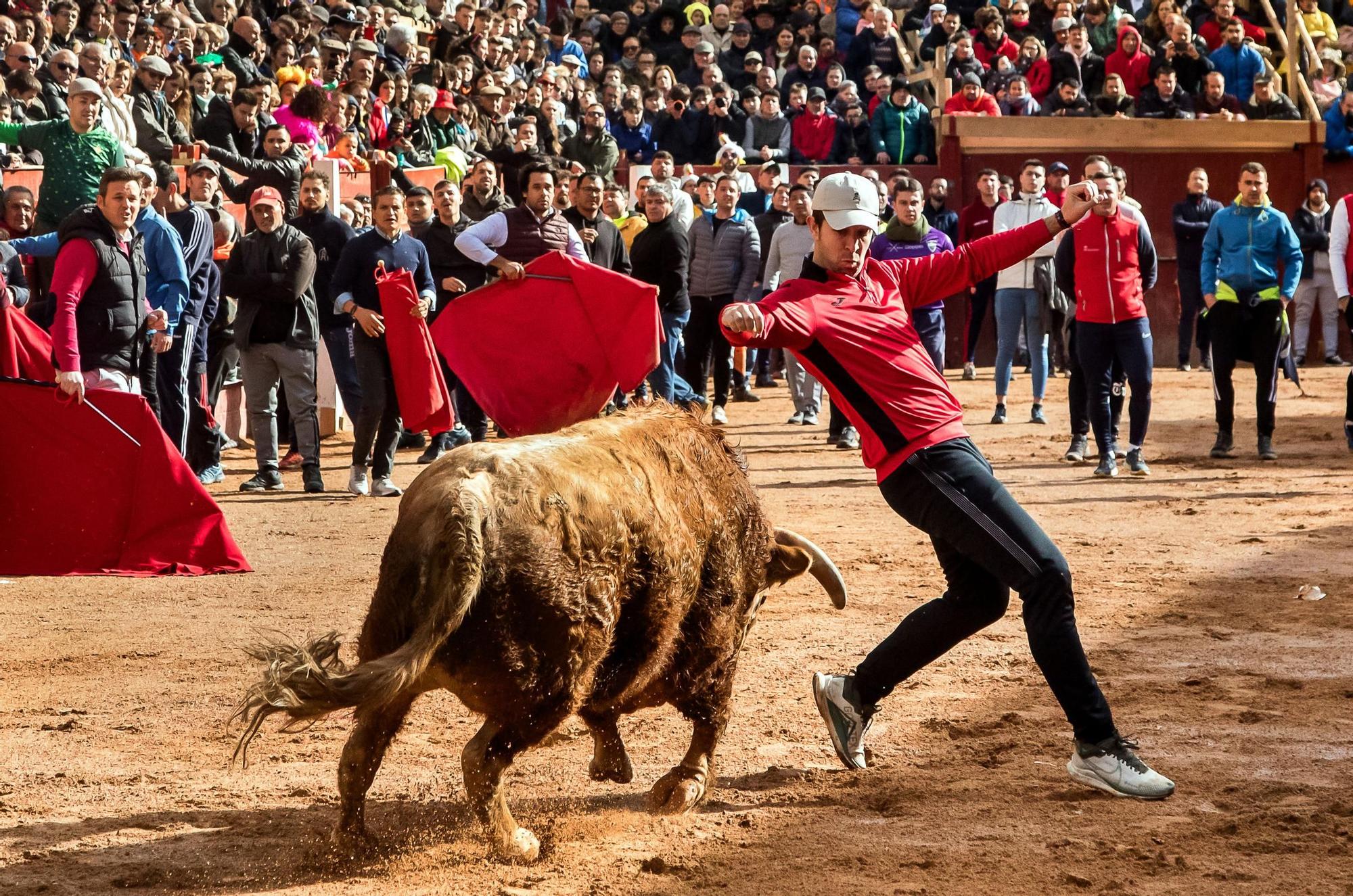 GALERÍA: Cinco heridos durante el encierro de Orive en el Carnaval del Toro de Ciudad Rodrigo