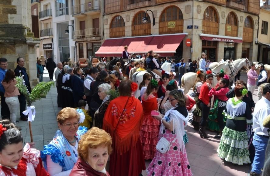 Día del Caballo en Benavente