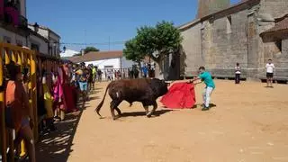 Elegancia de pases y recortes