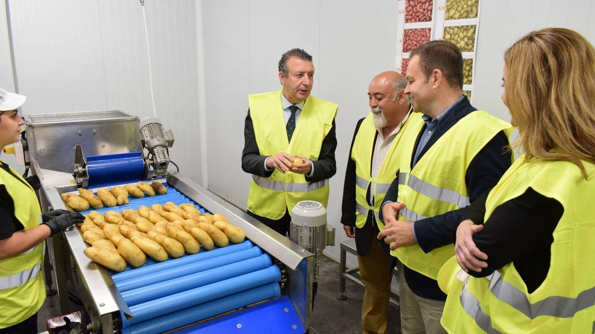 Javier Fernández, presidente de la Diputación de Sevilla (i); Manuel Coronel, delegado Agroindustria Ayto. La Rinconada(c); José Peláez, gerente Patatas Arrebola(d2) y Raquel Vega, delegada Economía Ayto. La Rinconada(d), durante la visita a las instalaciones de la empresa Arrebola en La Rinconada con motivo del inicio de la campaña de la patata nueva.