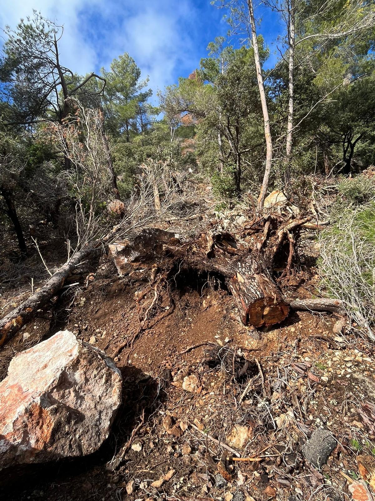 Las imágenes del gran desprendimiento de rocas en es Verger, en Esporles