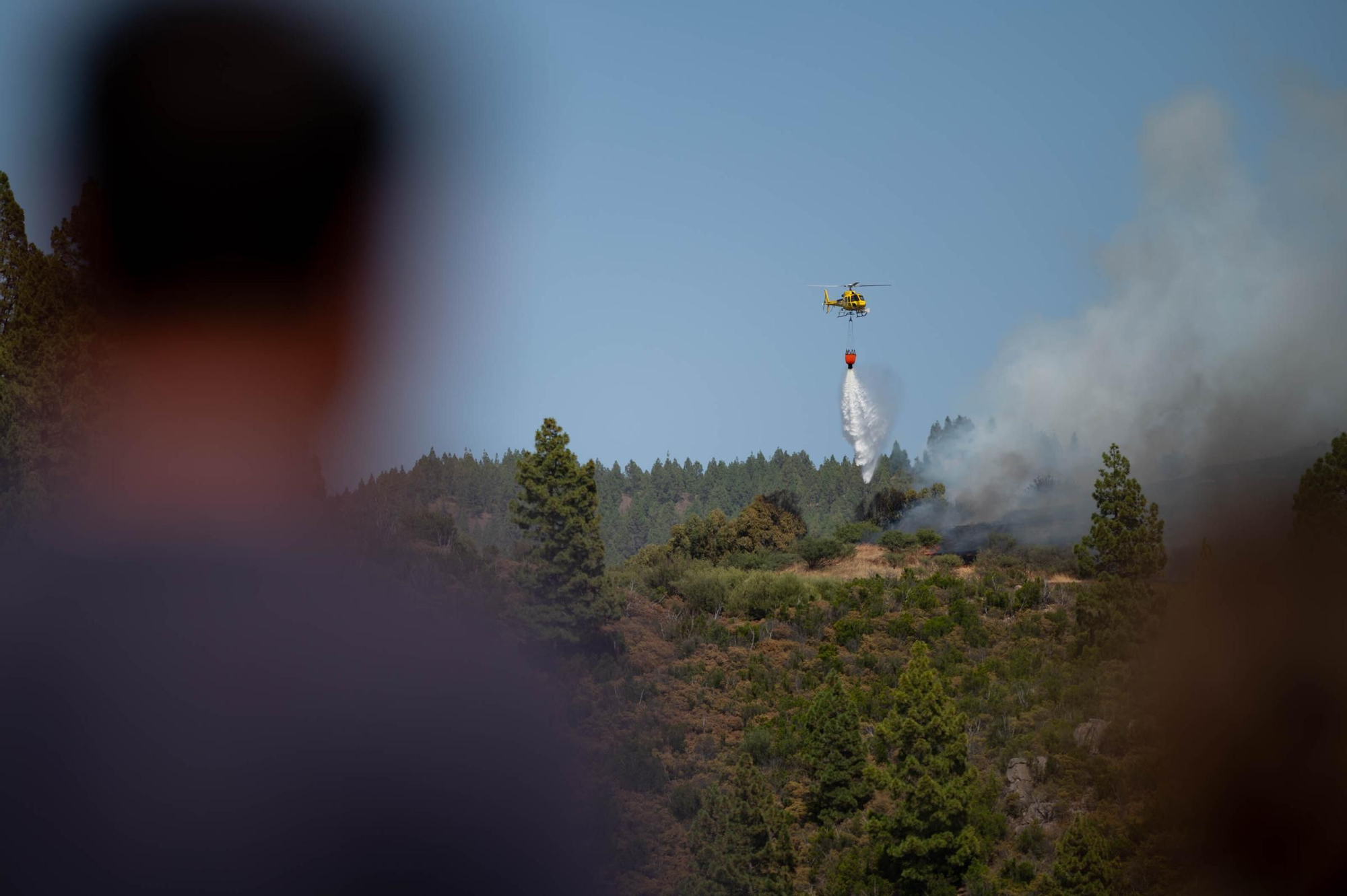 Imágenes del incendio declarado en El Tanque
