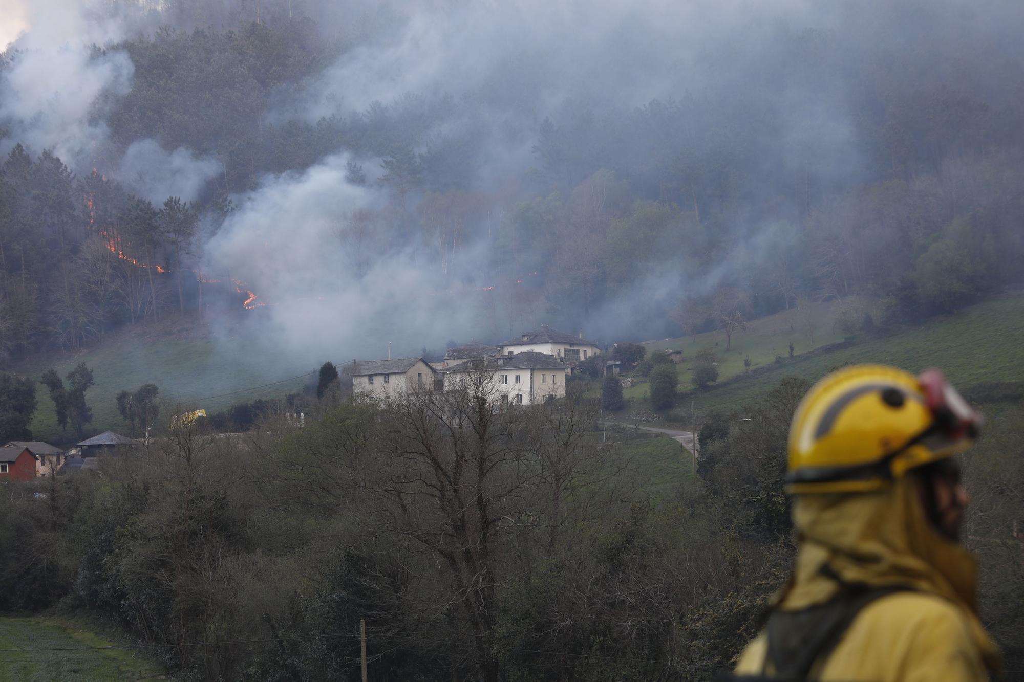 Incendios en la zona de La Venta, Valdés