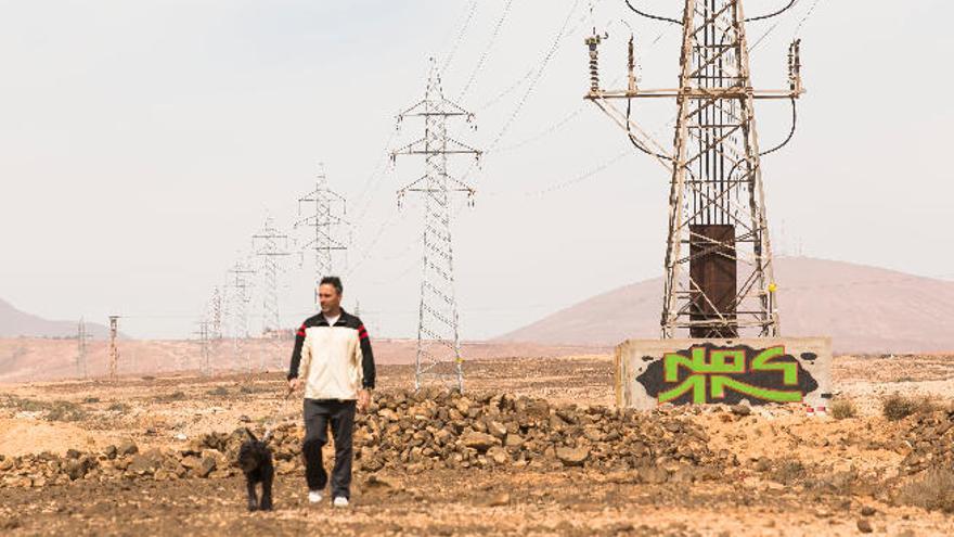 Un hombre pasea con su perro junto a unas torres de alta tensión.