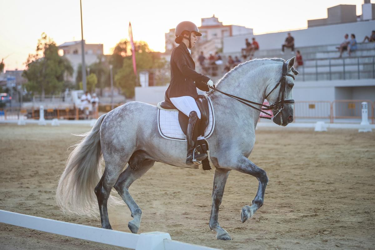 Así ha sido la Feria de Ganado de Dolores