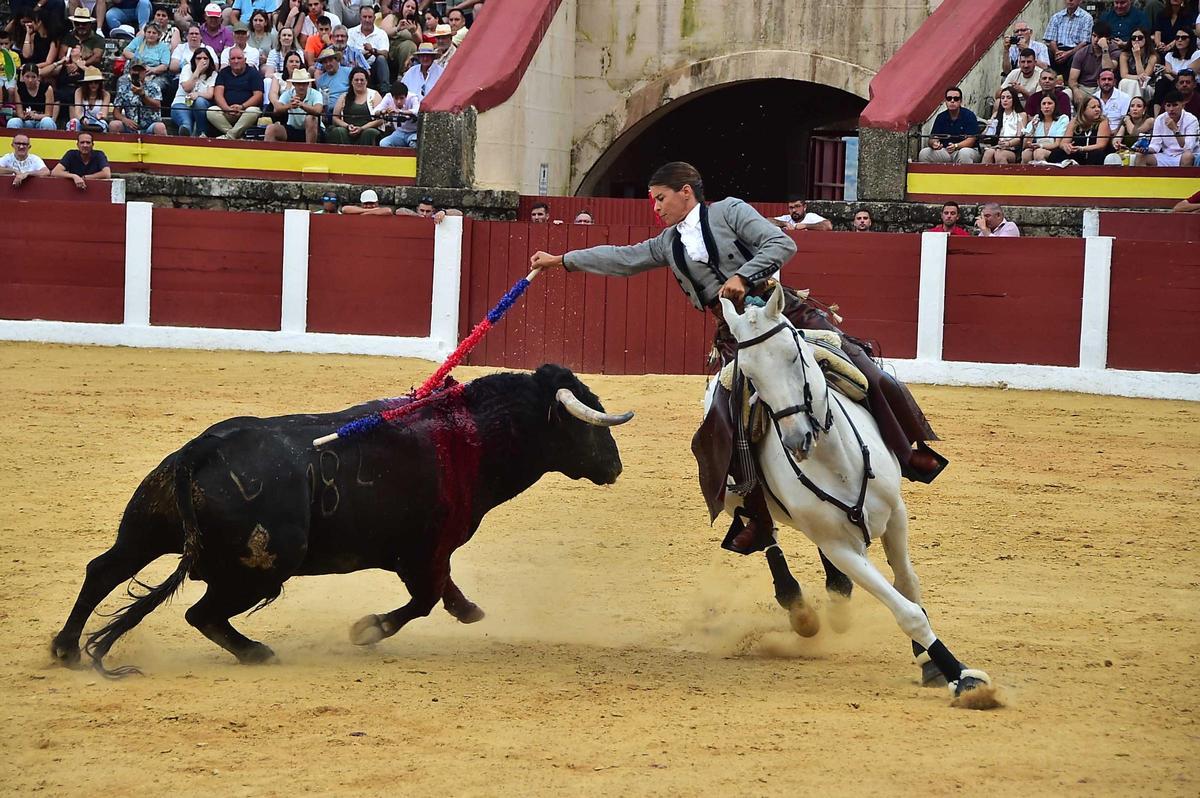 Fotogalería | Las imágenes de la corrida de rejones de la feria de Plasencia Fotogalería | Las imágenes de la corrida de rejones de la feria de Plasencia