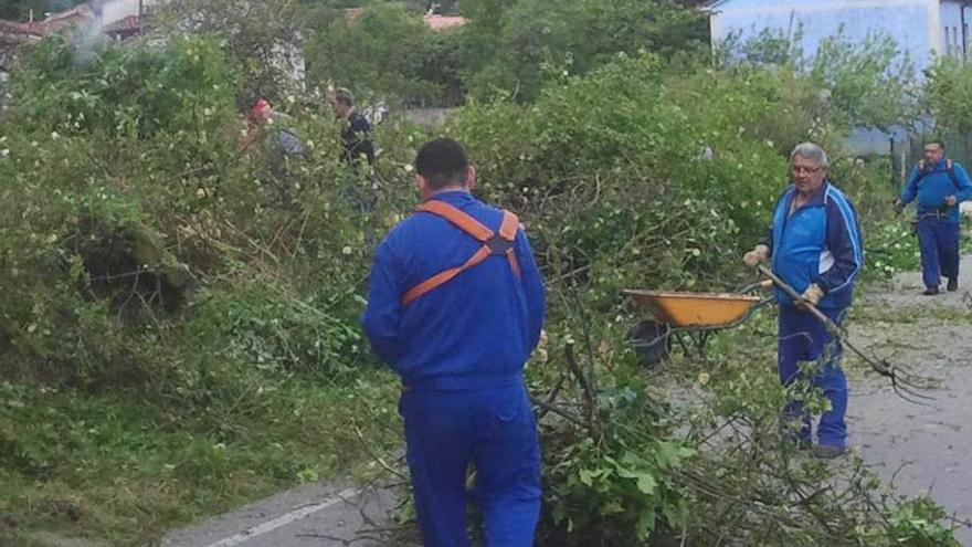 Vecinos de Olloniego desbrozando durante una sextaferia.