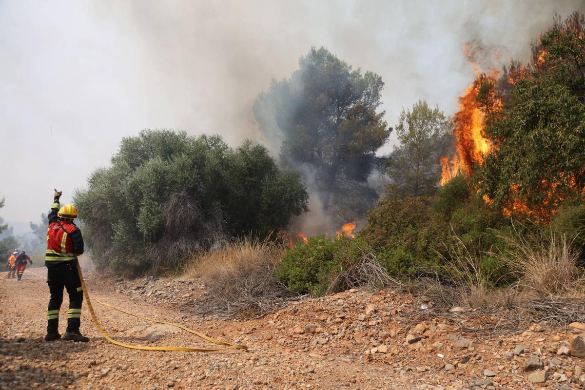 VALENCIA. CASTELLÓN. VALL D´UIXÓ. Incendio forestal en la Vall D´Uixço, Betxi, Vilavella