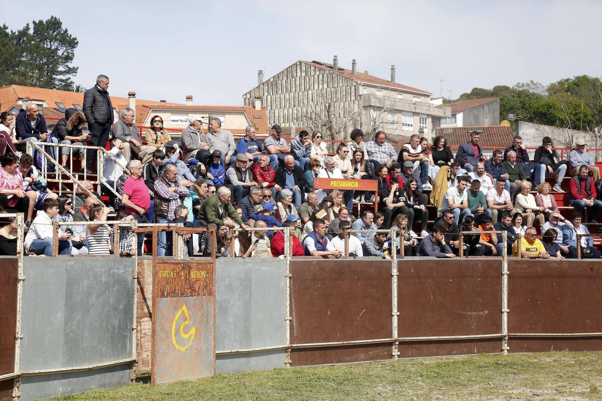 La Pascua de Padrón en imágenes