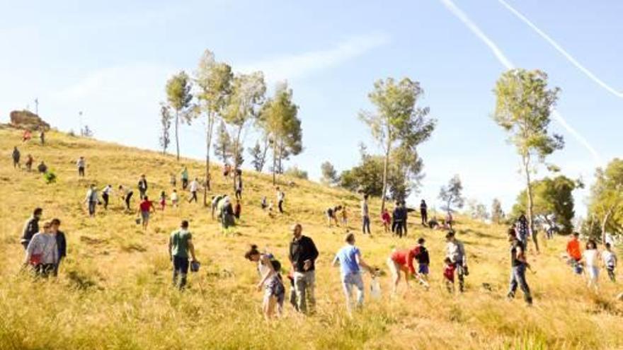 Jornada de reforestación de la montaña de la Patà, con la participación de los vecinos.