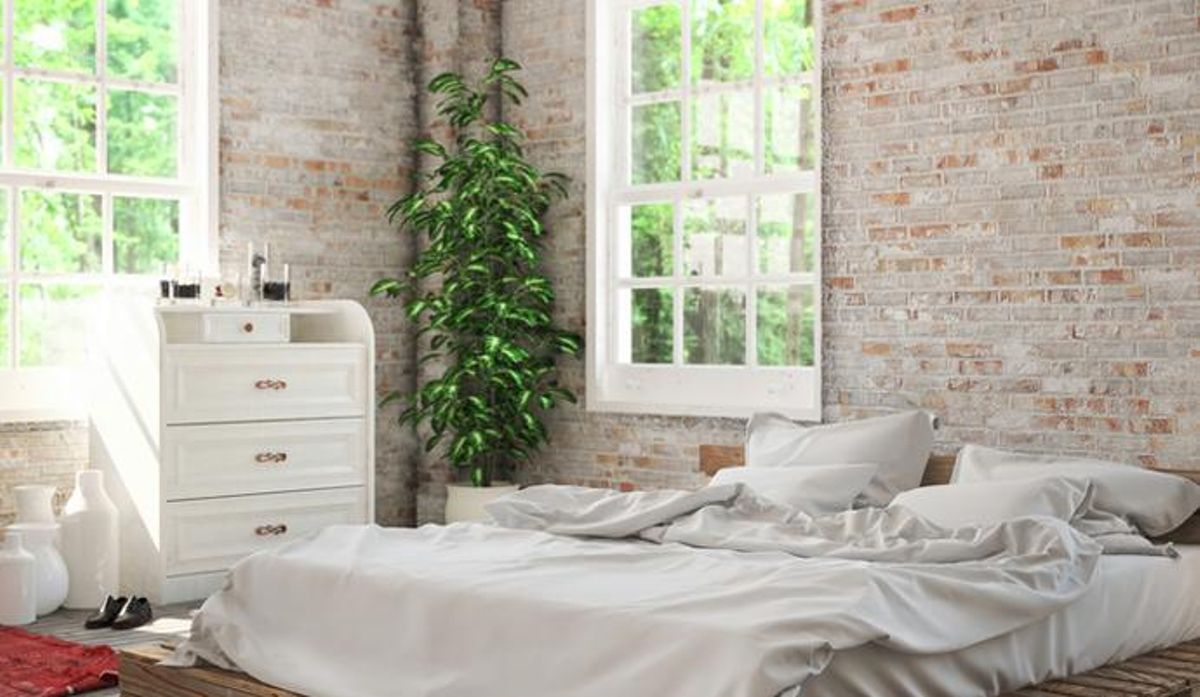 ¿Es bueno tener plantas en el dormitorio?