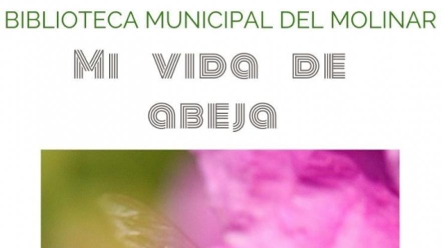 Mi vida de abeja