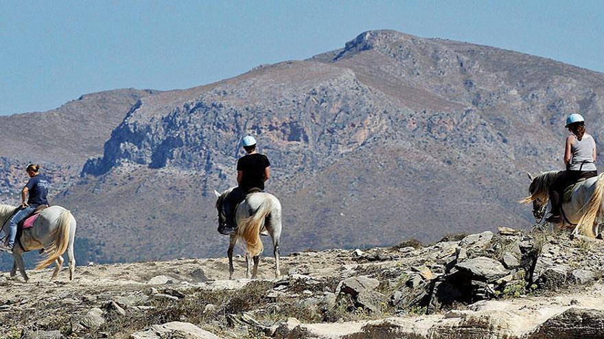 Auf der Finca Son Real nahe Son Serra de Marina dürfen Pferde unterwegs sein. Das ist aber längst nicht in allen Gegenden auf Mallorca so.