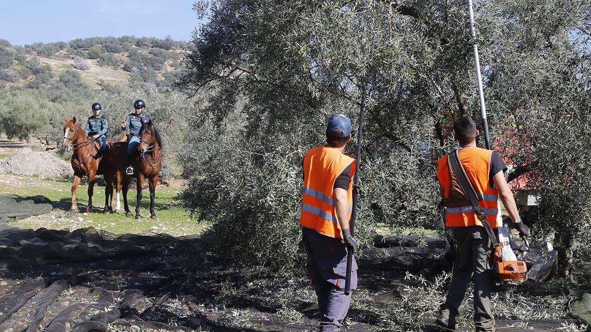 El dispositivo ROCA de la Guardia Civil en acción: unidad equina
