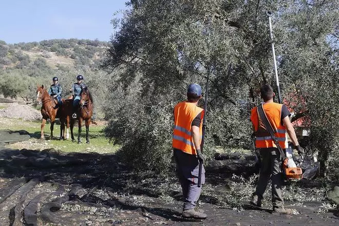 Tras la delincuencia en el campo cordobés