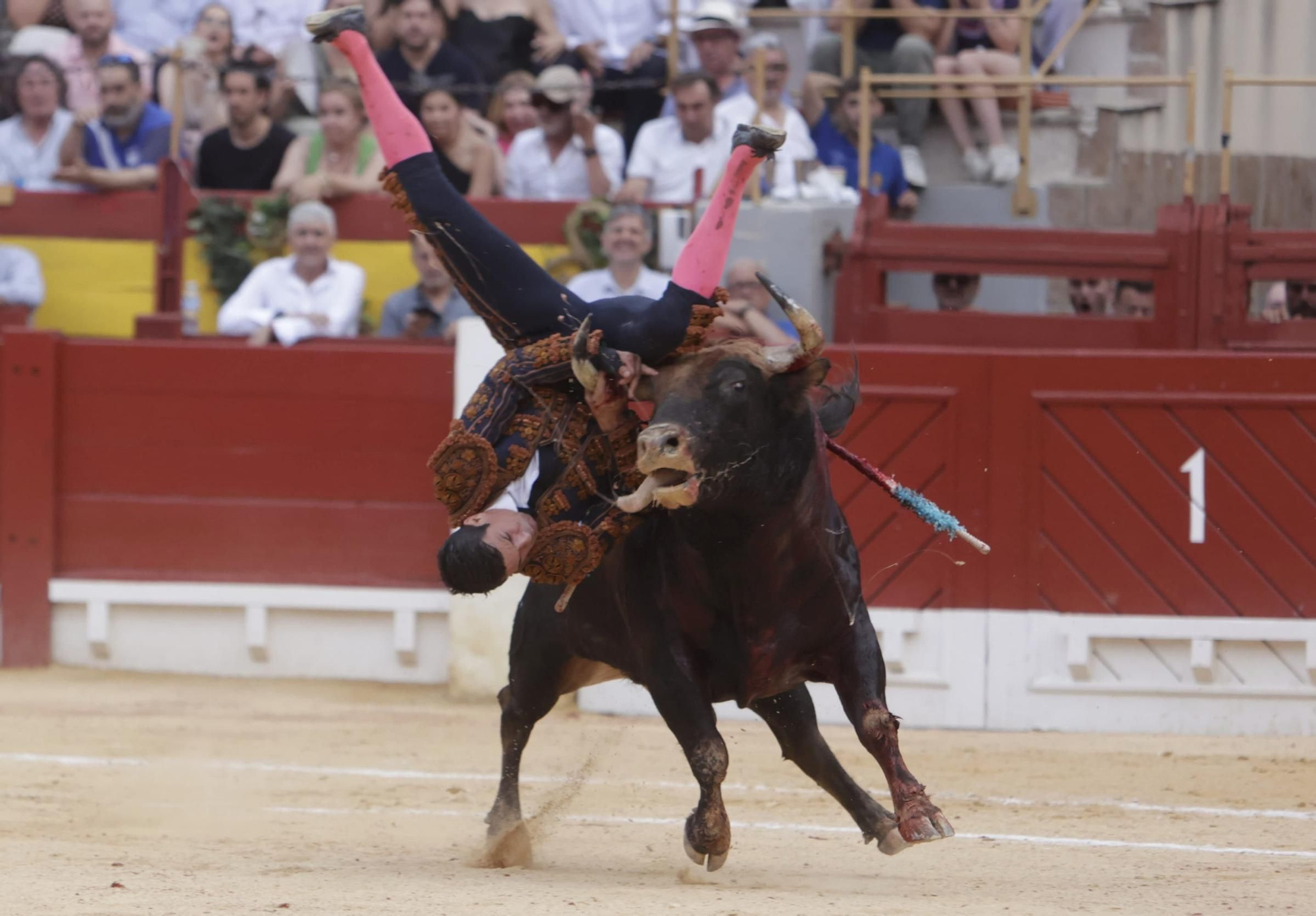 Susto en el cuarto toro de Manzanares en la Feria de Hogueras 2025