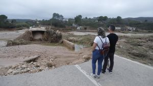 Dos vecinos observan uno de los puentes que han sido arrasados por la crecida del río Magro a su paso por Turís, arriba. Abajo, a la izquierda, un campo de olivos adultos arrancados de raíz por la acción del viento. A la derecha, otra de las infraestructuras dañadas por la DANA.