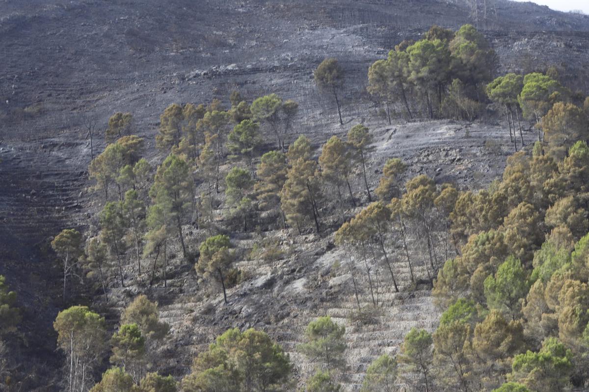 El incendio arrasa la urbanización Monte Corona de Ador