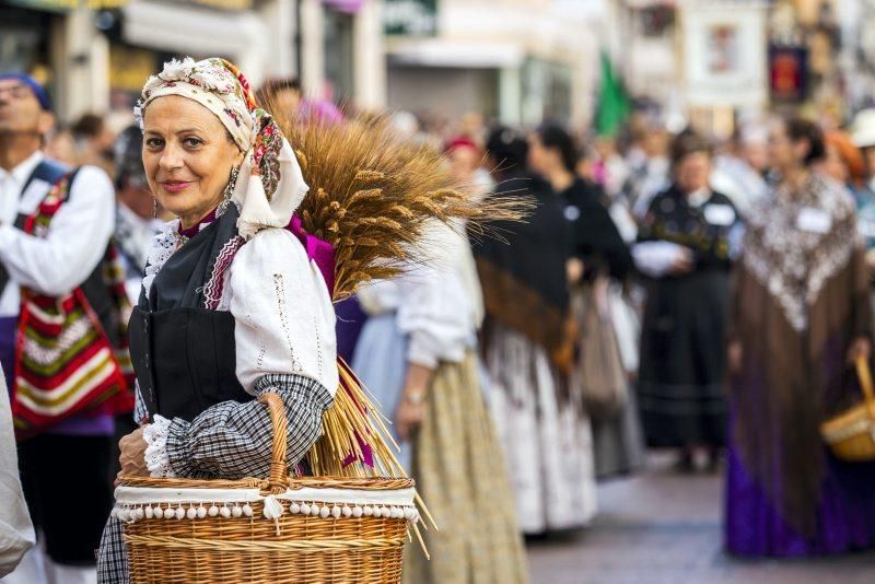 Ofrenda de Frutos 2019