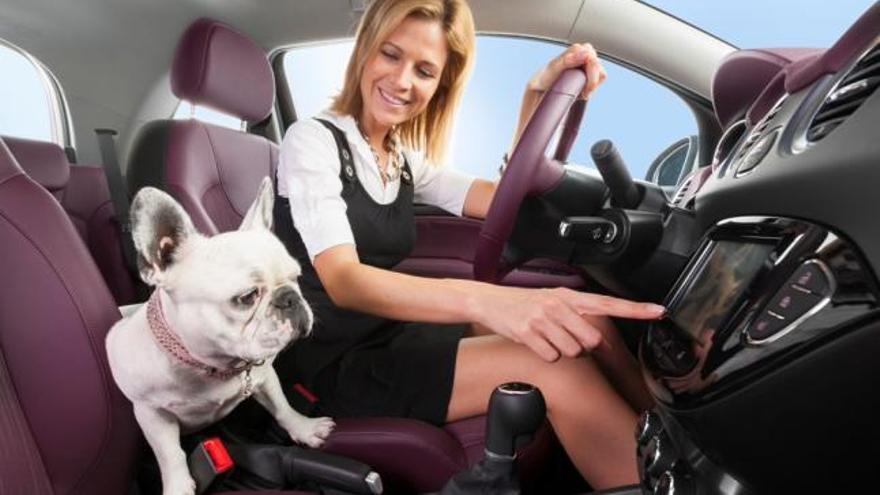 Trucos para limpiar la tapicería del coche si viajas con animales