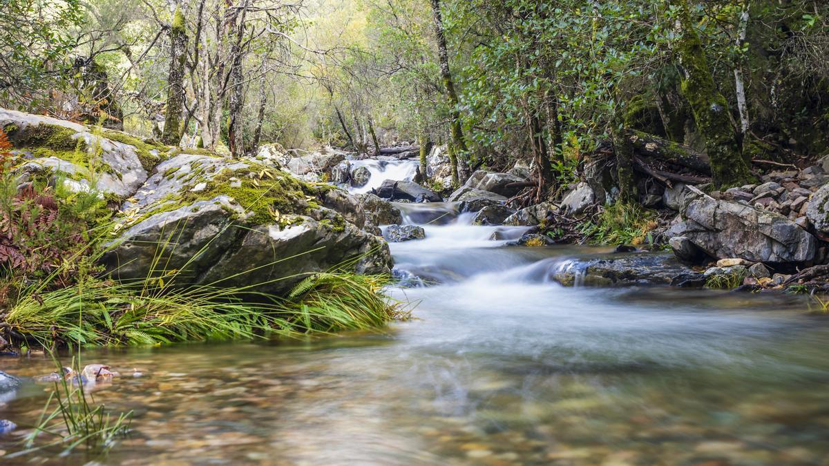 Si oyes llantos en la Sierra de Francia, es una princesa que pide ser liberada de su encantamiento