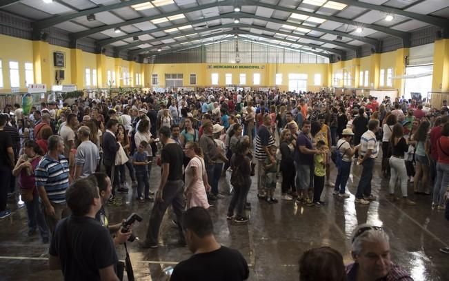 Fiesta de la Freasa en Valsequillo con concurso ...