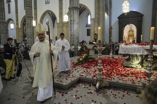 LLUVIA DE PETALOS EN LA CATEDRAL