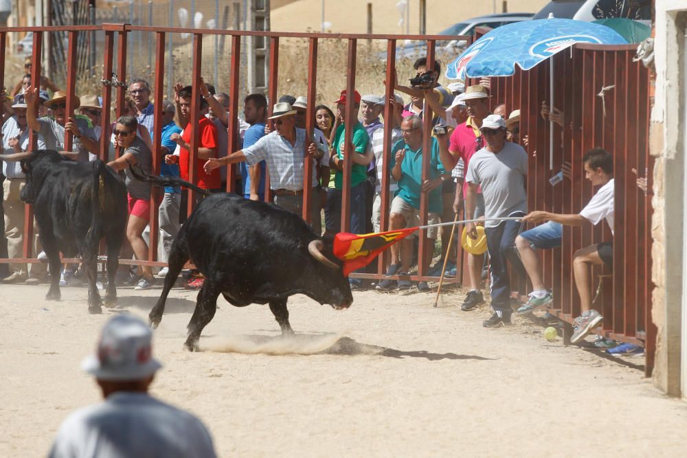 Encierro urbano en Villaescusa