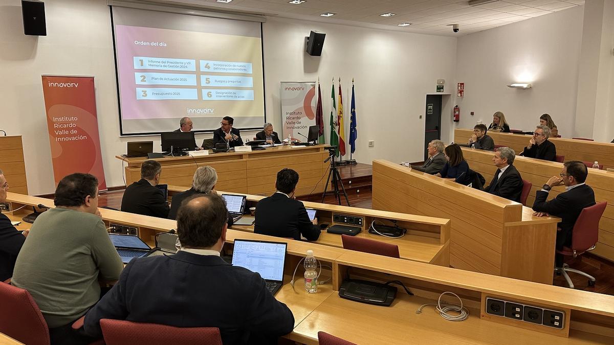 La reunión del patronato de Innova IRV, en el PTA de Málaga.