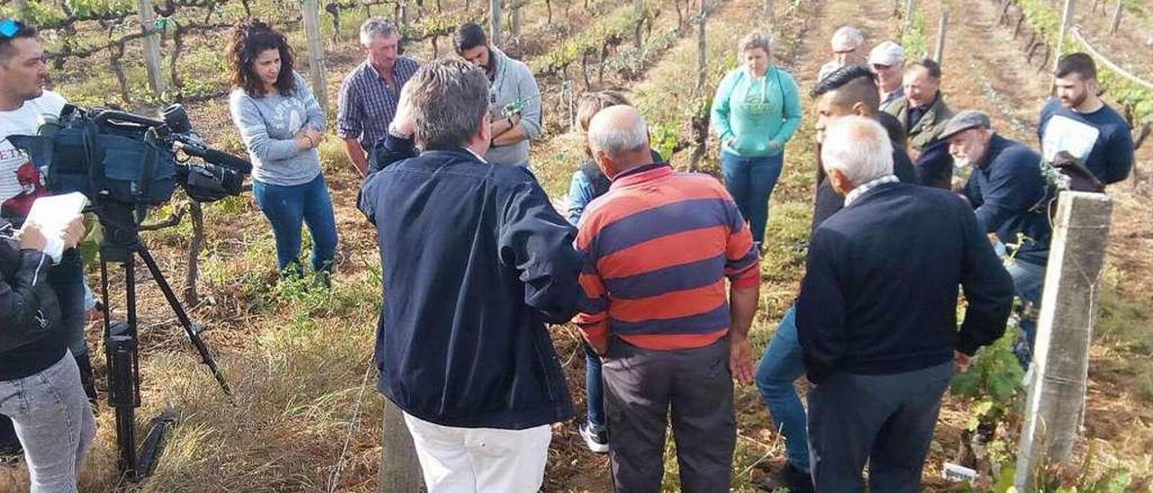 Los técnicos en Evega dando clases de repoda a los viticultores. // Fdv