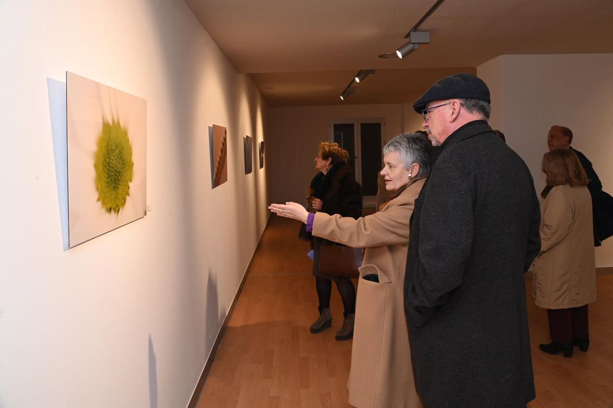Chimo Serrano presenta en el Menador la exposición 'Abstracta realidad'