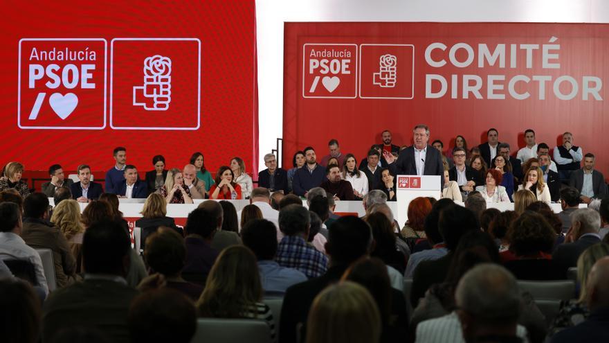 El secretario general del PSOE-A, Juan Espadas, interviene en una reunión del Comité Director del PSOE-A