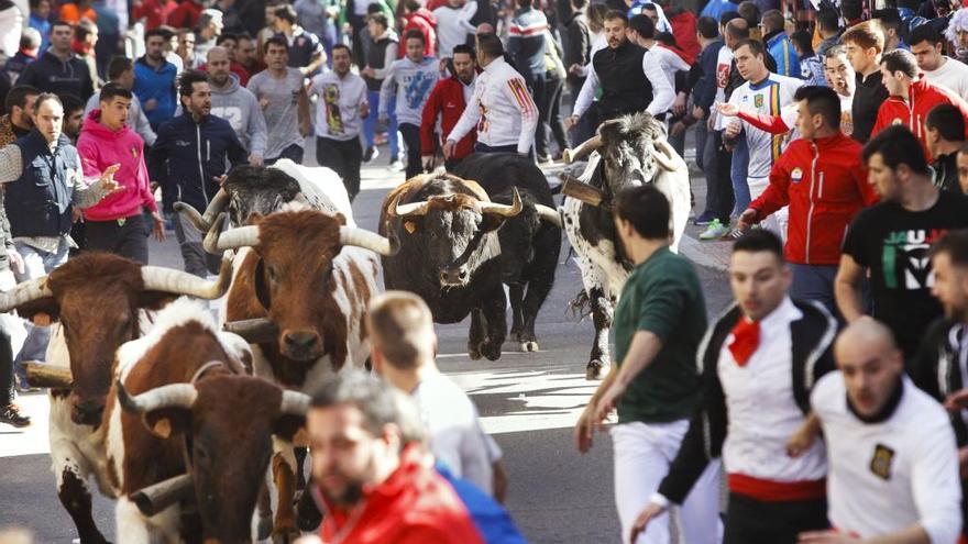 Un momento del festejo taurino celebrado dentro del Carnaval del Toro de Ciudad Rodrigo.