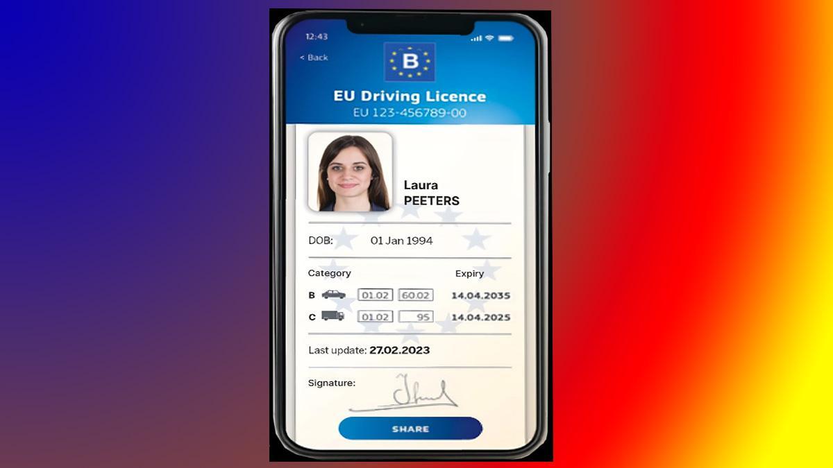 Brussel·les proposa que la retirada del carnet de conduir per infracció greu s’apliqui a tota la UE
