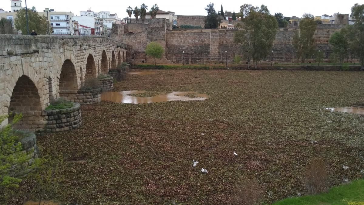 El temporal en Extremadura