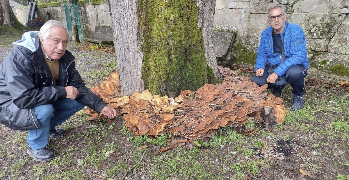 Ricardo y Alejandro Mínguez, en el terreno donde irá este proyecto micológico pionero. |  FdV