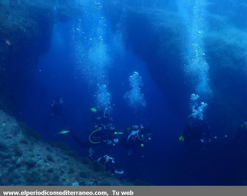 Submarinismo en Castellón