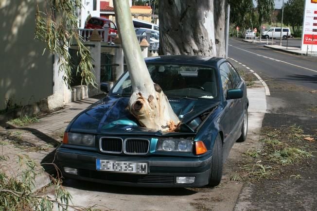 Daños causados por el viento en San Mateo (12/2/2016)