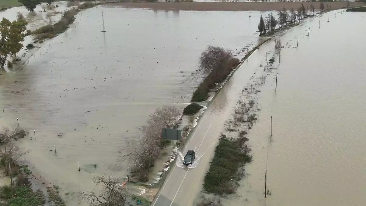 VÍDEO | Imágenes desoladoras de la zona rural de Jerez de la Frontera (Cádiz)