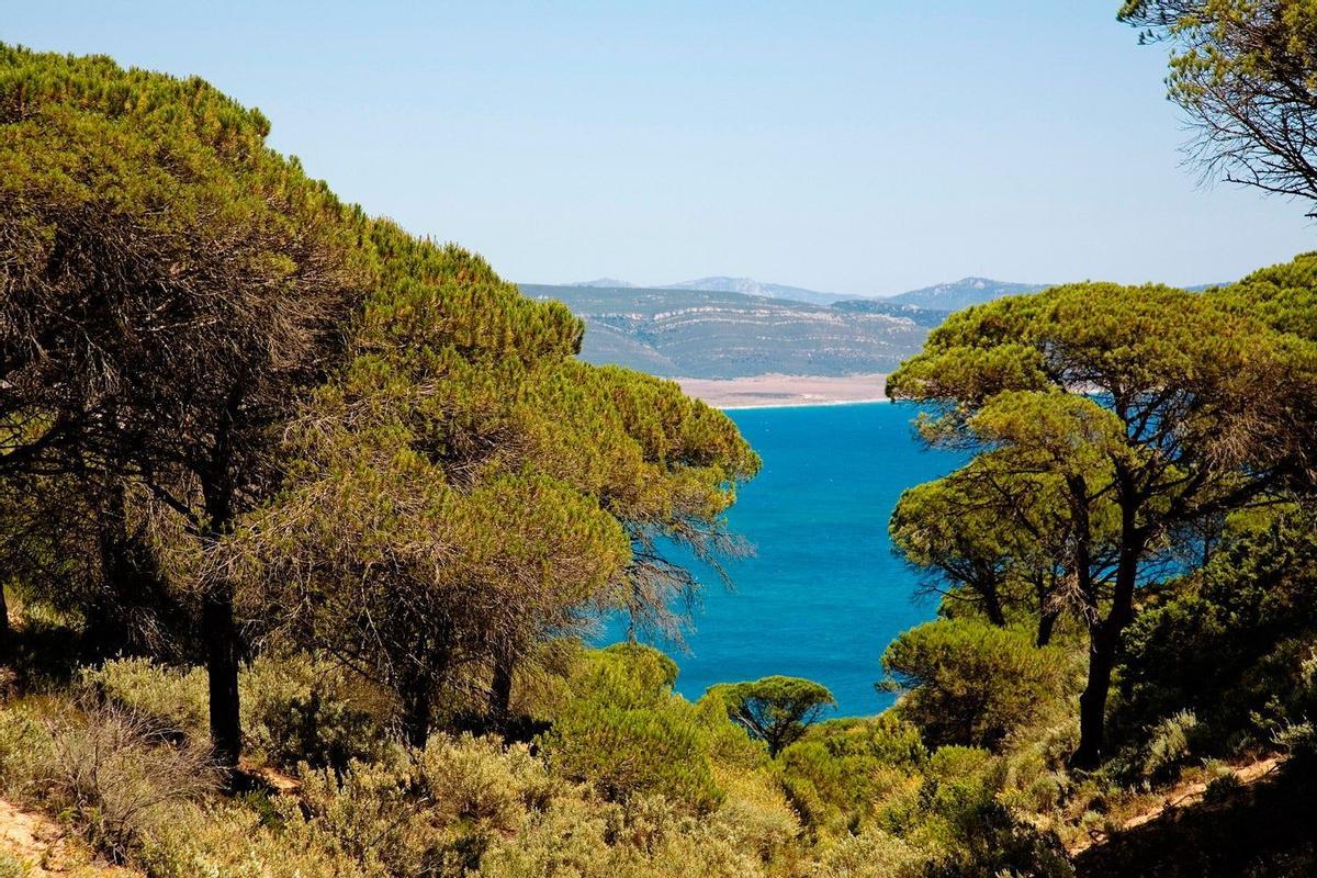 Calas de La Breña