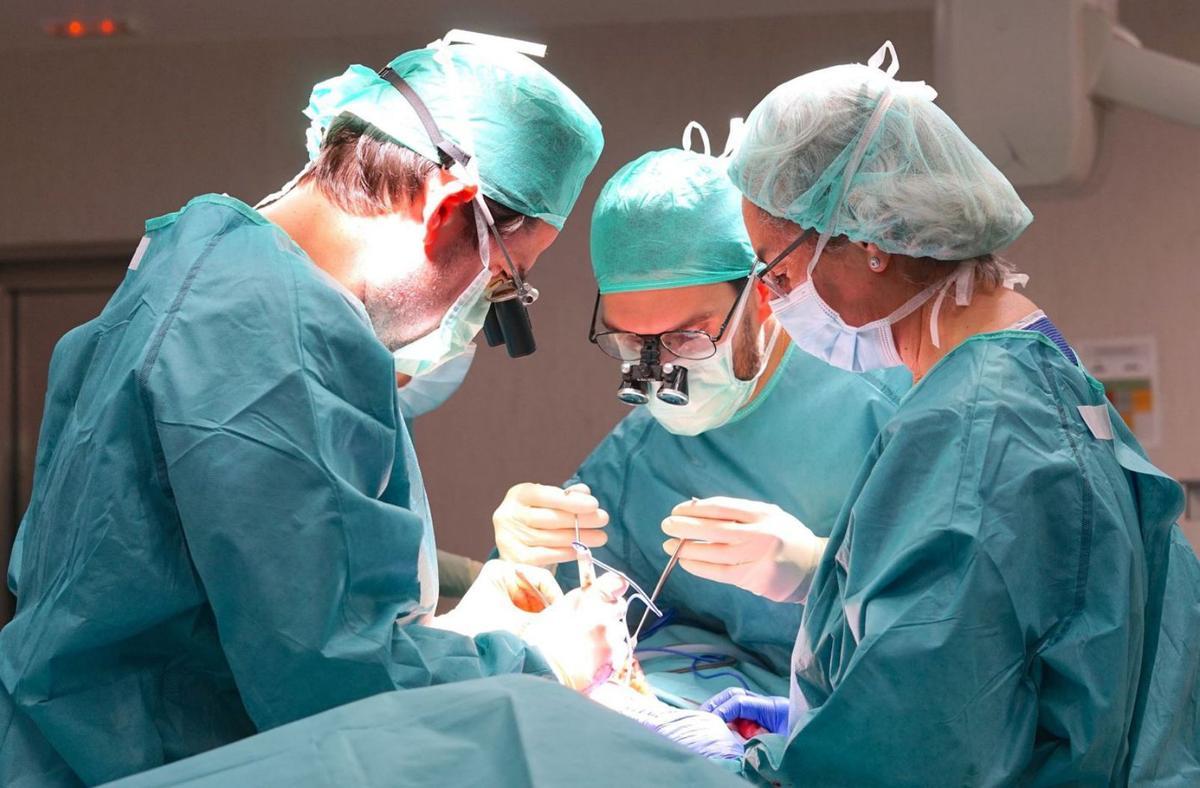 La cirurgia plàstica arrasa entre els aspirants MIR La cirurgia plàstica arrasa entre els aspirants MIR